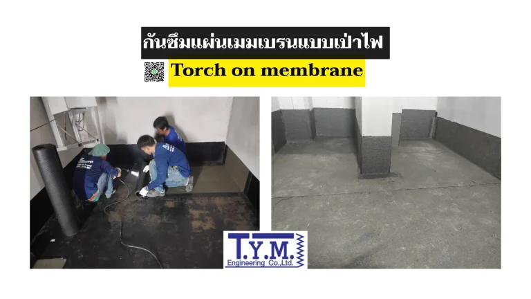 torch on membrane1